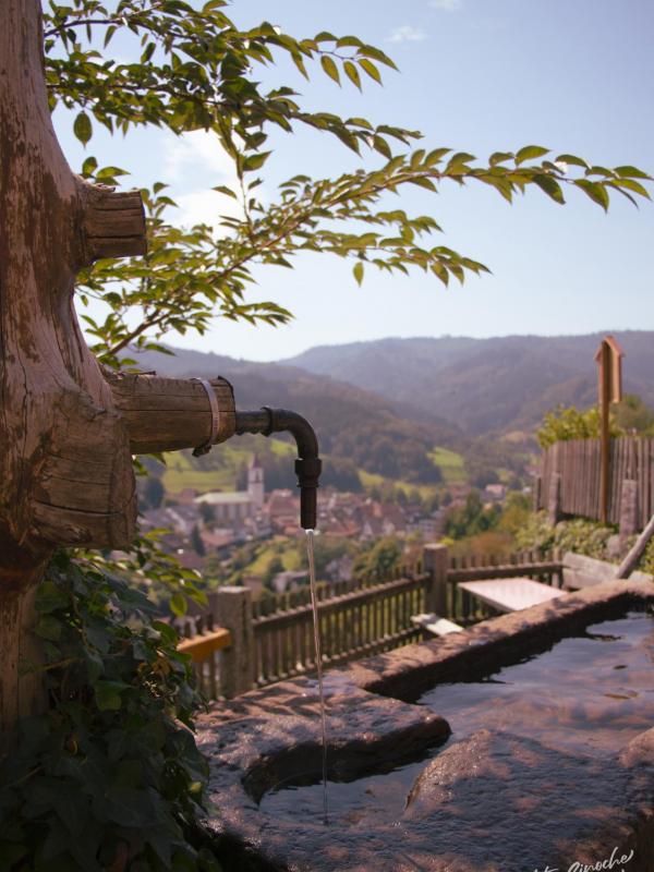 La fontaine du village
